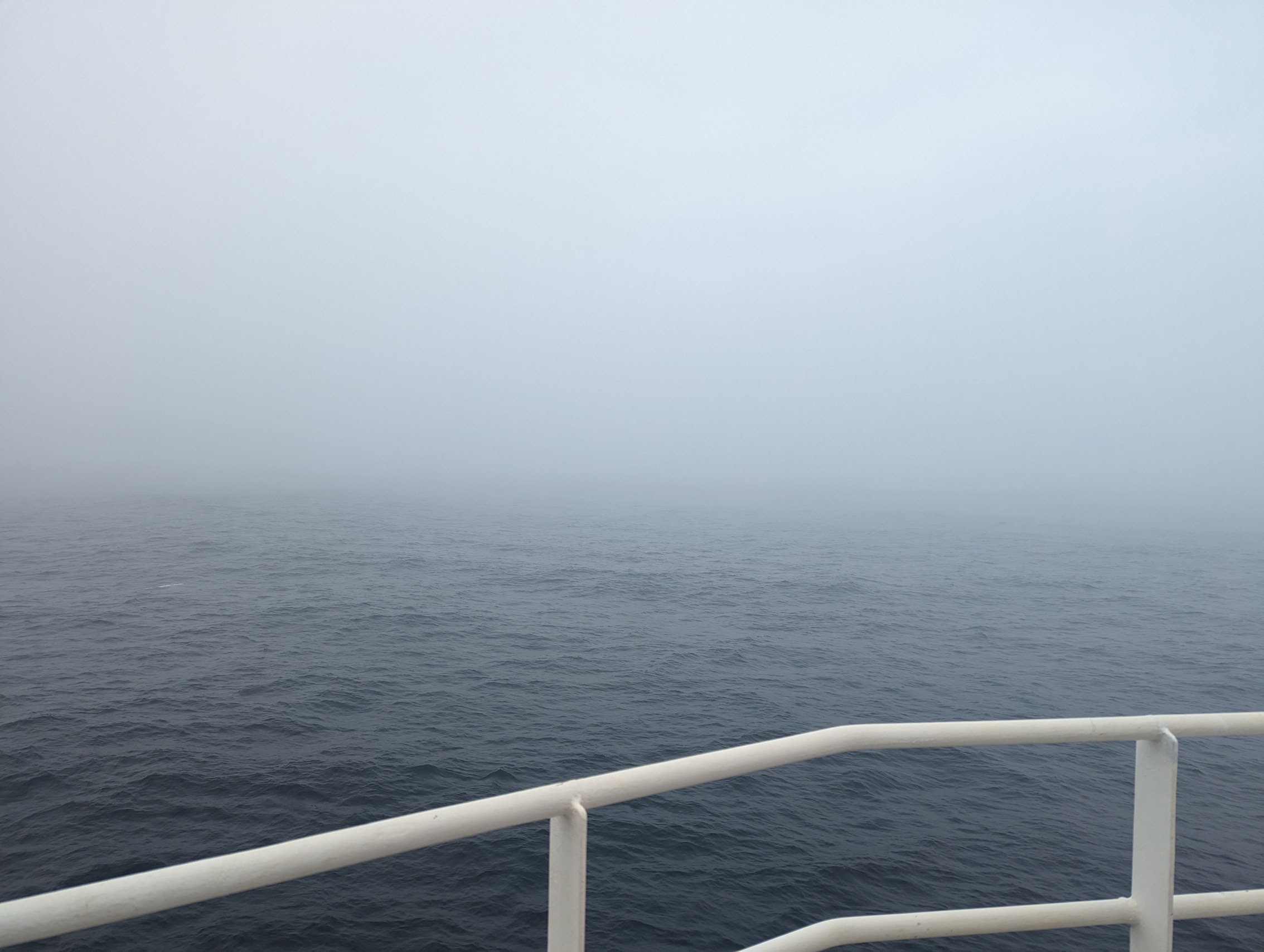 image of fog lingering over the steely gray ocean