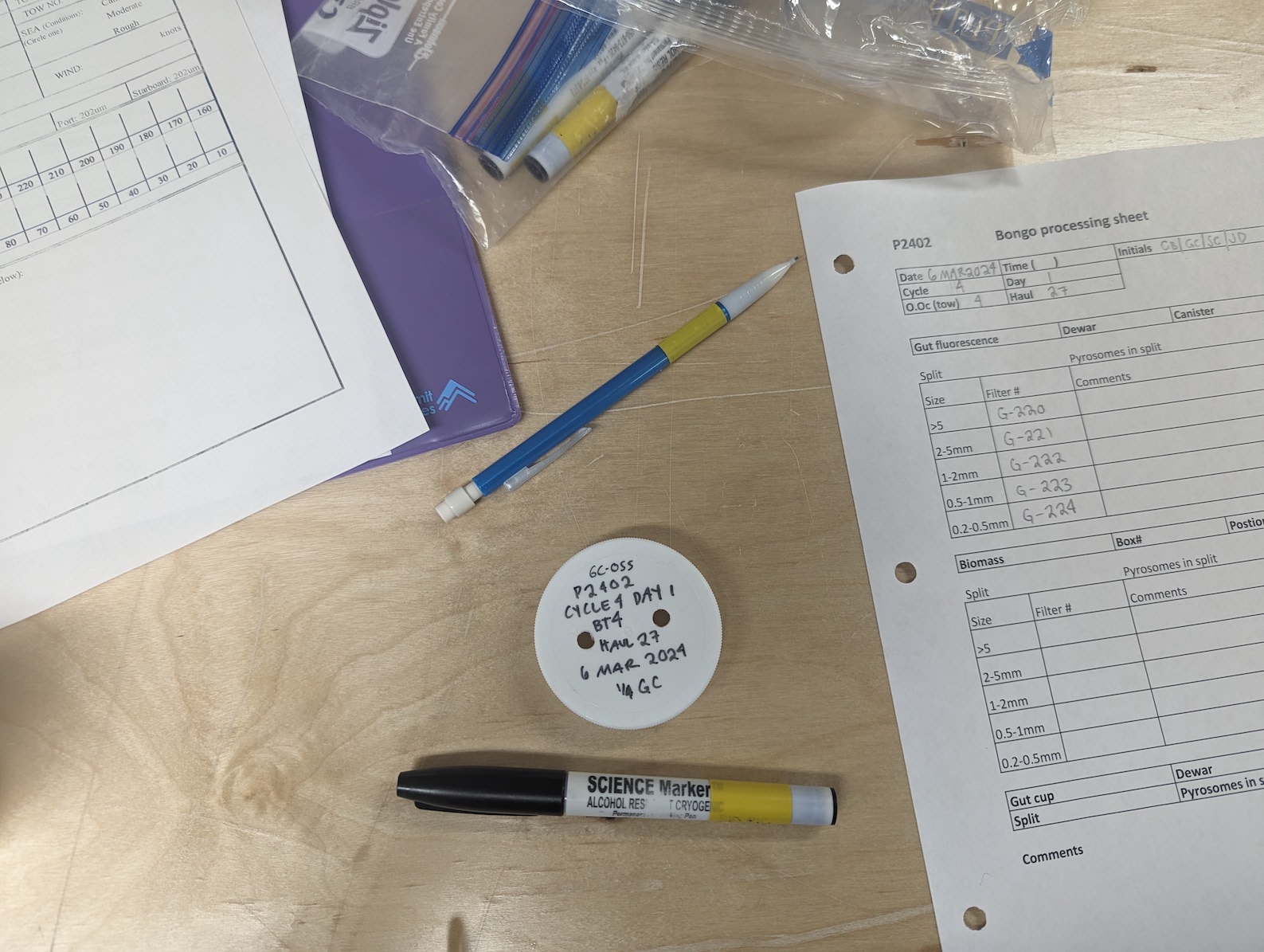 cryogenic marker next to a labeled lid, with worksheet filled out in the background detailing labelled petri dishes.