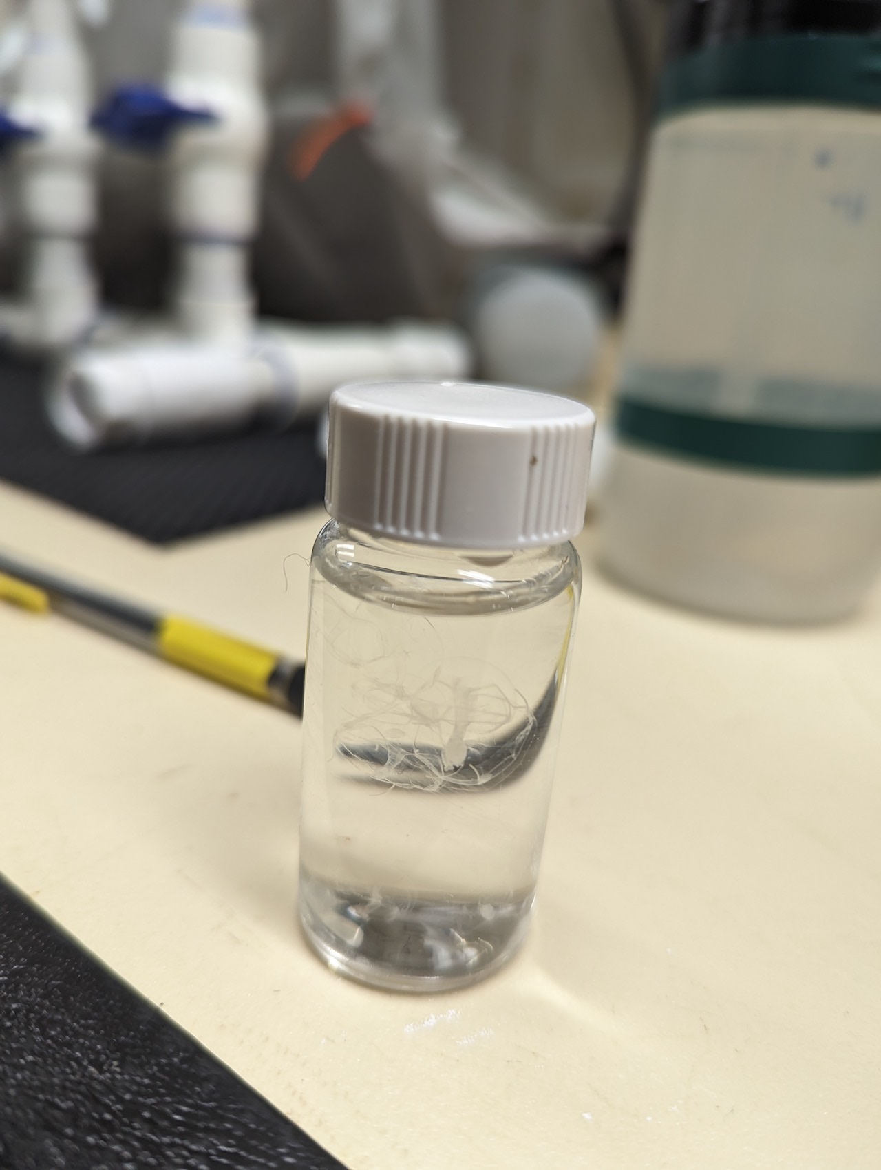 small vial of clear jellyfish